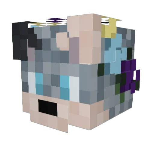 Swiftdragon07 Minecraft avatar head, 3D render