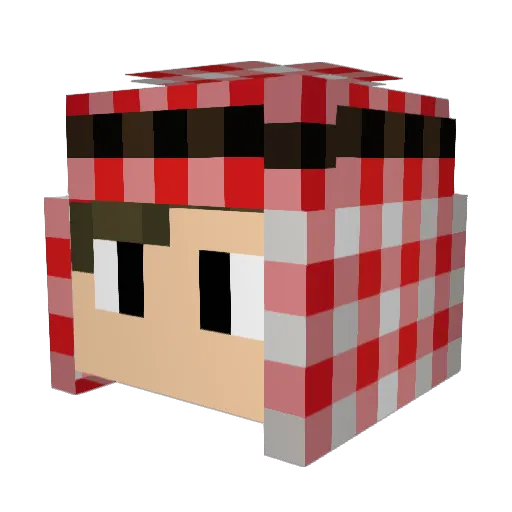 SwiftestDog Minecraft avatar head, 3D render