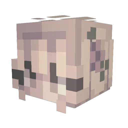 Swiftey008 Minecraft avatar head, 3D render