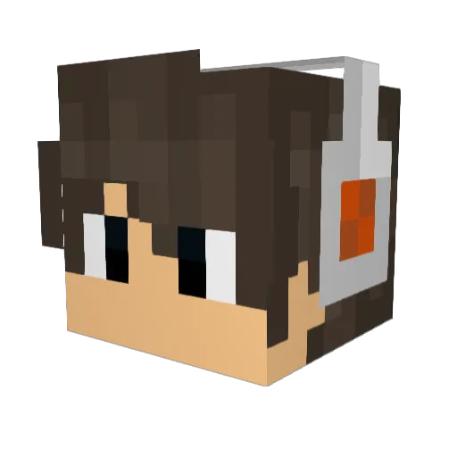 Minecraft-Avatar von Swiftfox01: Kopf als 3D-Render