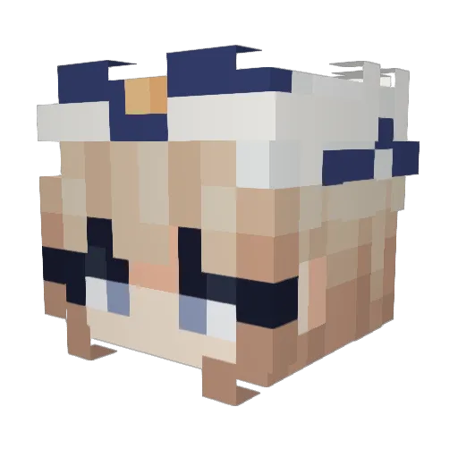 Swiftk1 Minecraft avatar head, 3D render