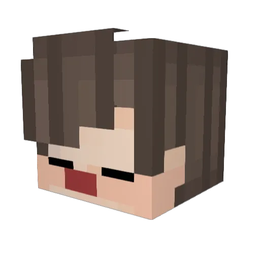 Swiftlens Minecraft avatar head, 3D render