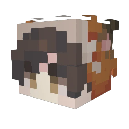 SwiftnessFox Minecraft avatar head, 3D render