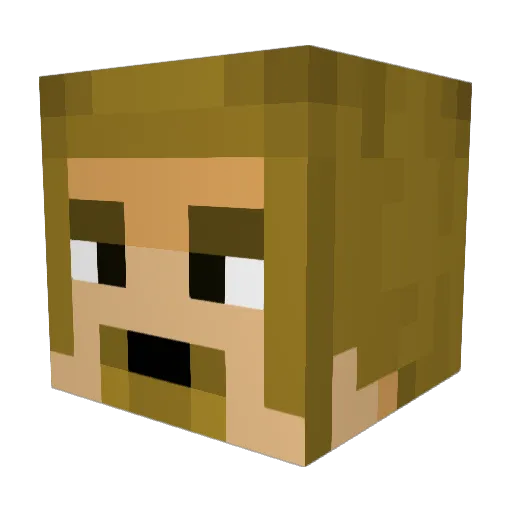 Swiftpaw48 Minecraft avatar head, 3D render