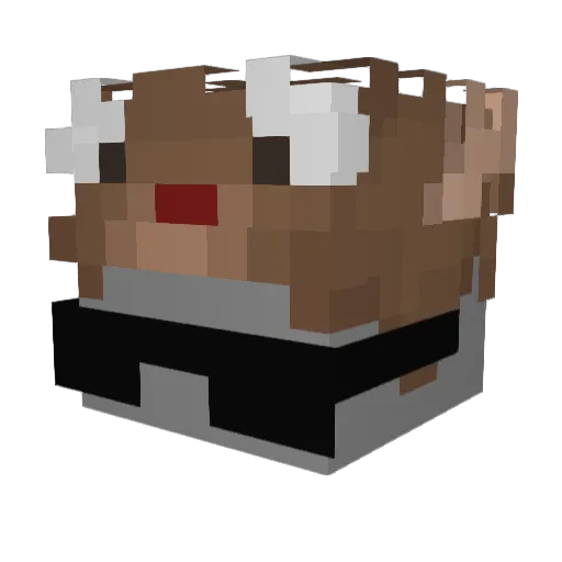 Swiftwr Minecraft avatar head, 3D render