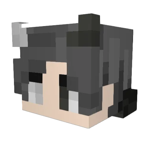 SwiftyShxrp Minecraft avatar head, 3D render