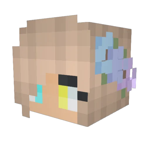 Swifty_dodge Minecraft avatar head, 3D render