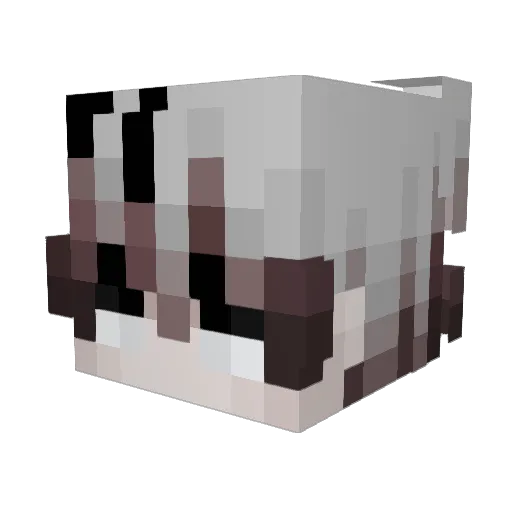 Swiftys22 Minecraft avatar head, 3D render