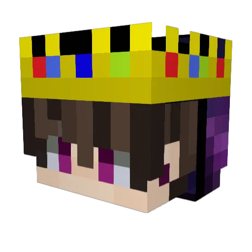 Swifz511 Minecraft avatar head, 3D render