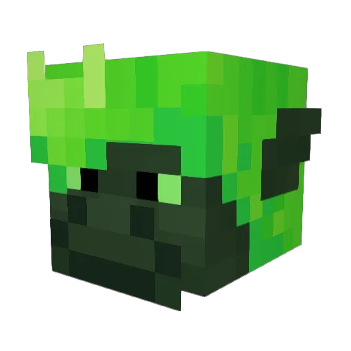 Swigglyswoogle Minecraft avatar head, 3D render