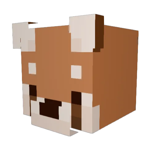 Swiiftnxss Minecraft avatar head, 3D render