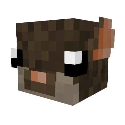 Swikax Minecraft avatar head, 3D render