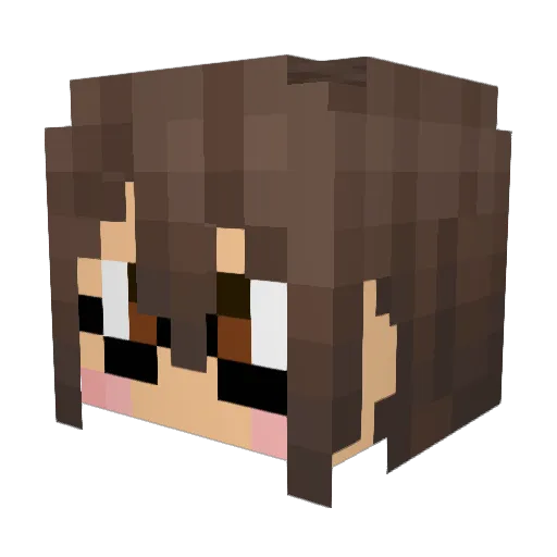 SwillPudding Minecraft avatar head, 3D render