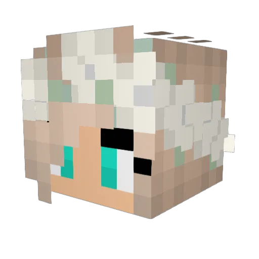 Swim3010 Minecraft avatar head, 3D render