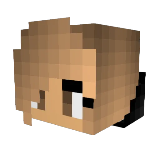SwimBK Minecraft avatar head, 3D render
