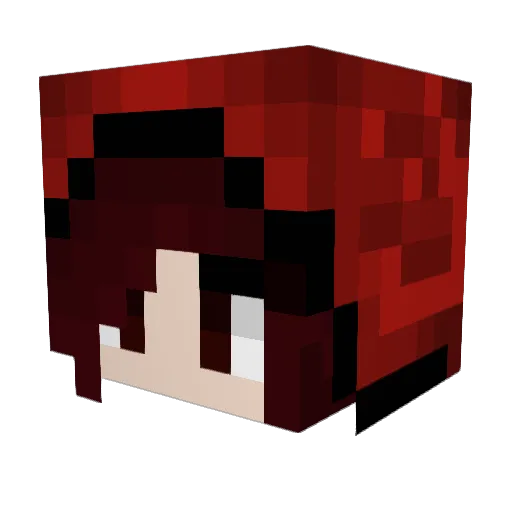 SwimBrain Minecraft avatar head, 3D render