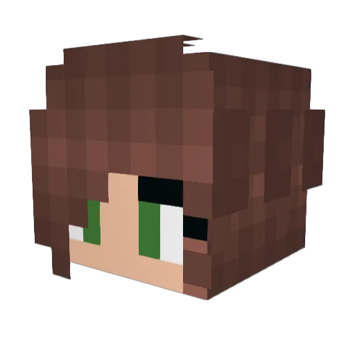 SwimHailey Minecraft avatar head, 3D render