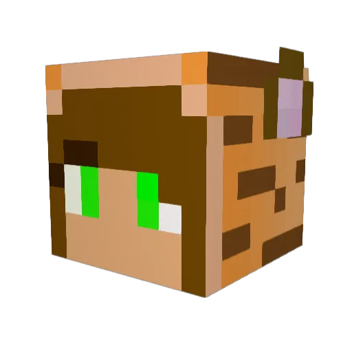 SwimKat777 Minecraft avatar head, 3D render