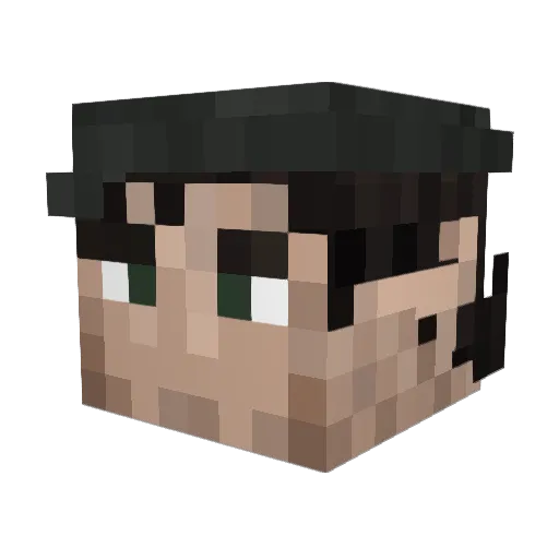 SwimShadyyy Minecraft avatar head, 3D render