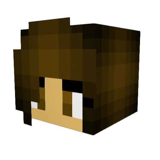 Swimbug23 Minecraft avatar head, 3D render