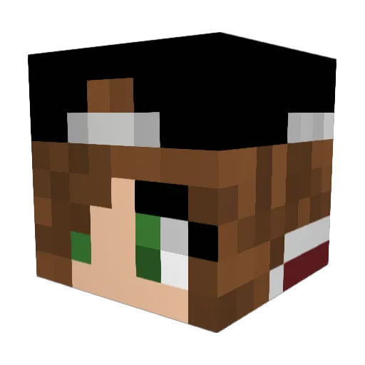Swimdoggy2 Minecraft avatar head, 3D render