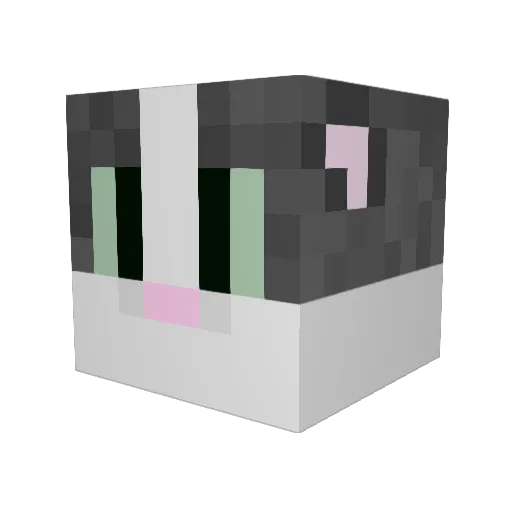 Swimdragon999 Minecraft avatar head, 3D render