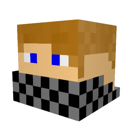 Swimgeek11 Minecraft avatar head, 3D render
