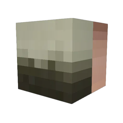 Swimly_ Minecraft avatar head, 3D render