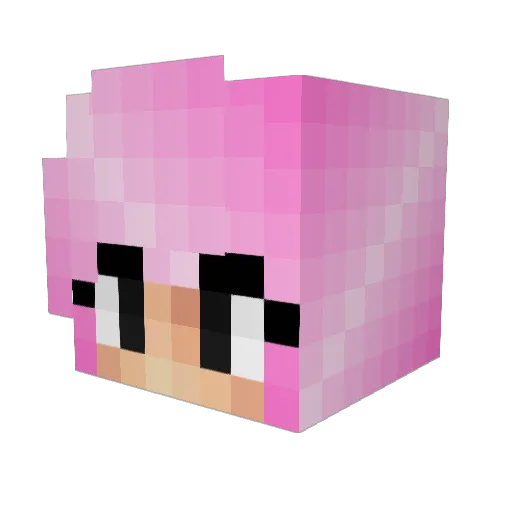Swimmer_1444 Minecraft avatar head, 3D render