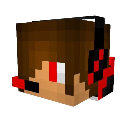 Swimmgamer Minecraft avatar head, 3D render