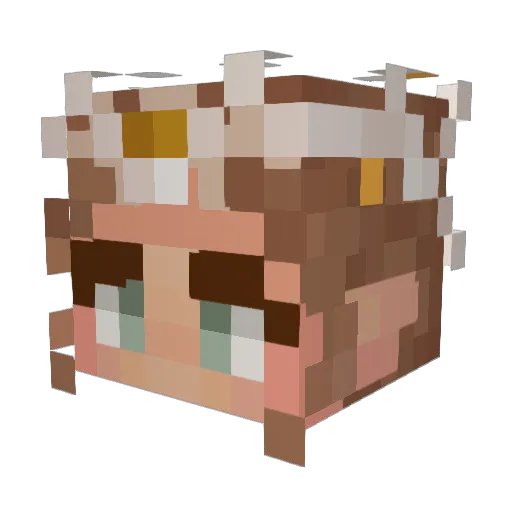 SwimminPiggy Minecraft avatar head, 3D render