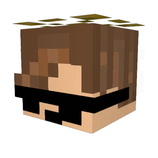 Swimper Minecraft avatar head, 3D render