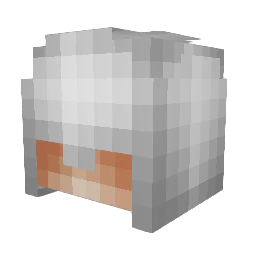 Swimtime1227 Minecraft avatar head, 3D render