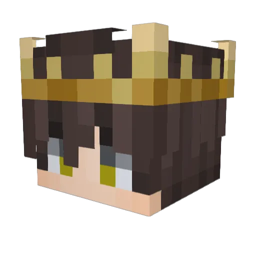 SwinDLer0012 Minecraft avatar head, 3D render