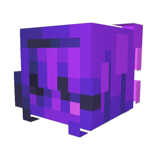 SwinklerDinklr Minecraft avatar head, 3D render
