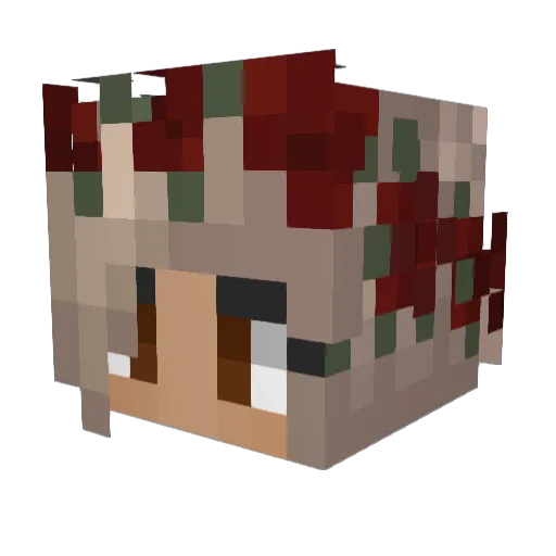 SwirlingShadow Minecraft avatar head, 3D render
