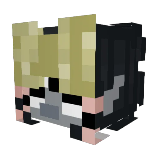 Swirly_Whirly Minecraft avatar head, 3D render