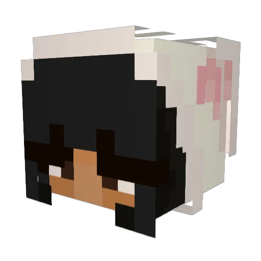 Swirlyowo1 Minecraft avatar head, 3D render