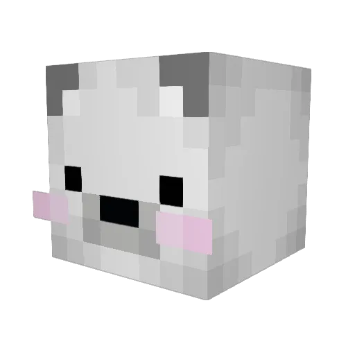 Swirrl Minecraft avatar head, 3D render