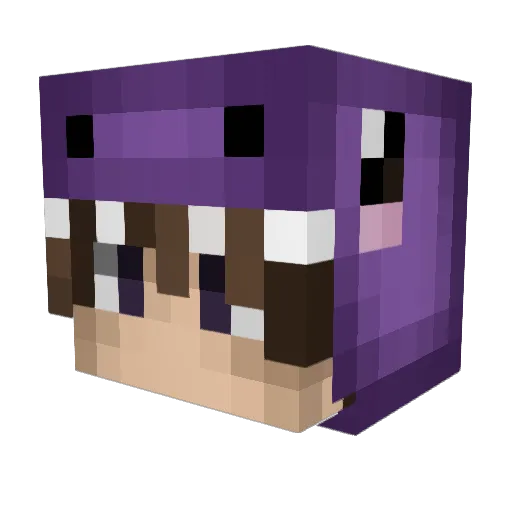 SwissBubbles Minecraft avatar head, 3D render
