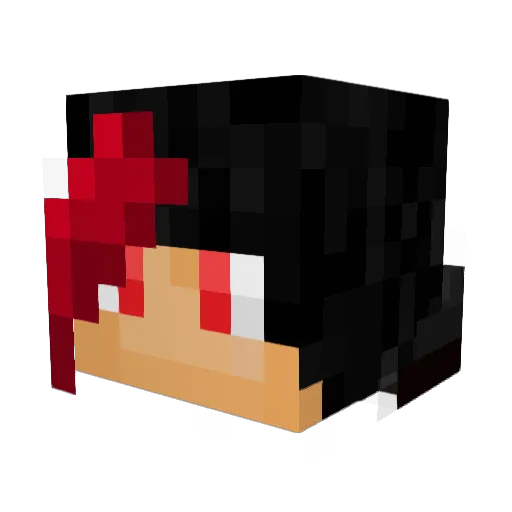 SwitchaRooo Minecraft avatar head, 3D render