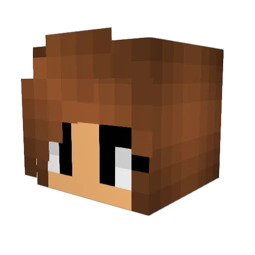 Switchback94 Minecraft avatar head, 3D render
