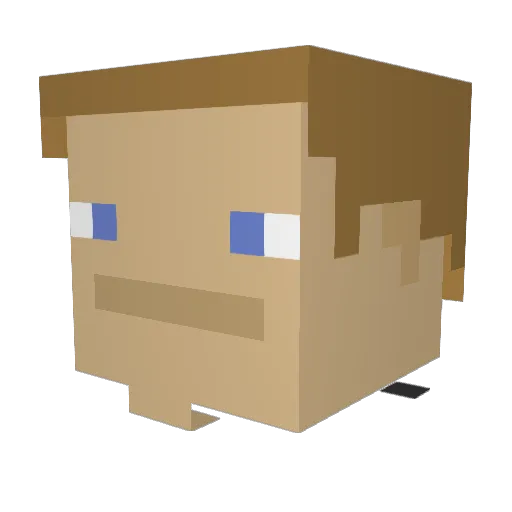 Switchboy55 Minecraft avatar head, 3D render