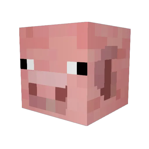 SwitchedX Minecraft avatar head, 3D render