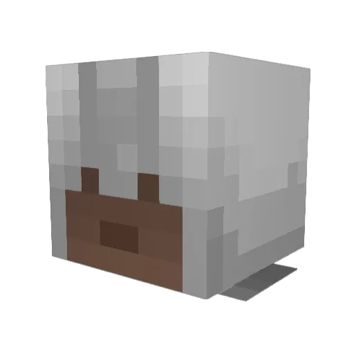 SwitchingFool16 Minecraft avatar head, 3D render