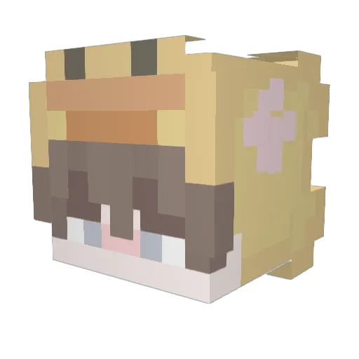 Swnch44 Minecraft avatar head, 3D render