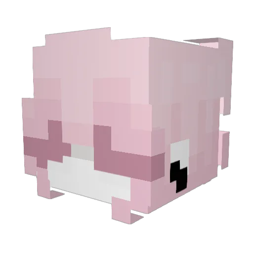 Swnie Minecraft avatar head, 3D render