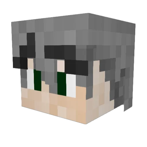 Swo117 Minecraft avatar head, 3D render