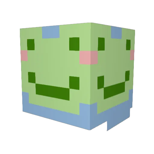 Swoggles Minecraft avatar head, 3D render