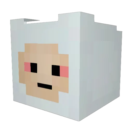 Swonkler Minecraft avatar head, 3D render